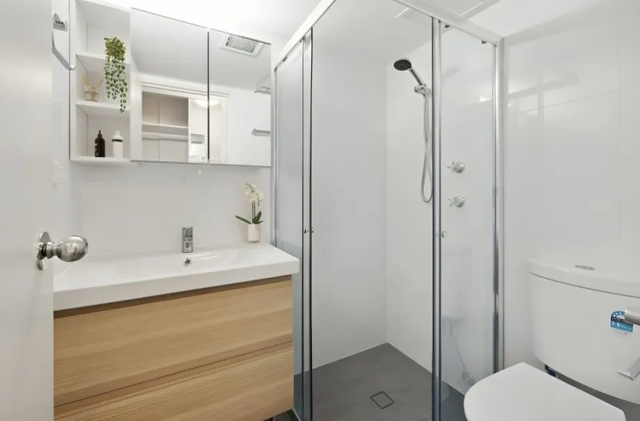 Modern bathroom renovation featuring a frameless glass shower, floating timber vanity, and mirrored storage cabinet.