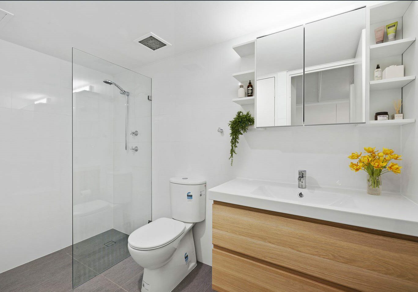image9 (1)